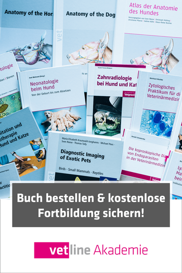 Buchbestellung Banner