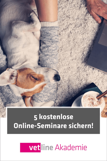 Onlineseminar-Banner